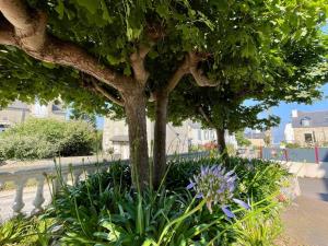 Maisons de vacances Residence des Bains : photos des chambres