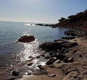 Sa Teria Village - Appartamenti - img65