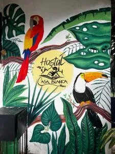 CASA BLANCA Hostal - 米卡