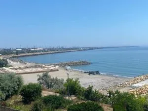 Vila Andreea - 艾福雷诺德