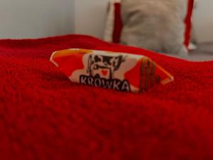 Petit 1 Bed room Condo Warszawa Center