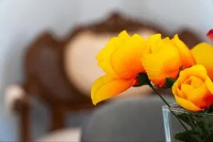 Summer Cottage - Kastellánoi