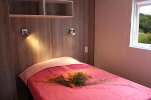 Campings Camping de Trezulien : photos des chambres
