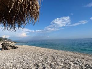 White Rocks Edera 2 I