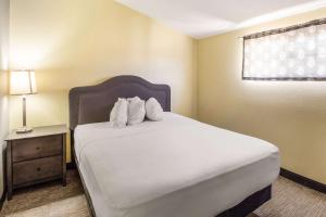 Standard Queen Room - Non Smoking room in Rodeway Inn
