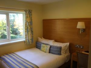 Double Room with Private Bathroom room in Clover Spa and Hotel