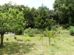 Villas Maison a Saint-Augustin/mer proche de Saint Palais : photos des chambres