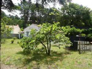 Villas Maison a Saint-Augustin/mer proche de Saint Palais : photos des chambres