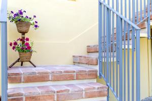 R37 - Casa Tamarina .