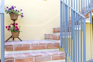 R37 - Casa Tamarina .