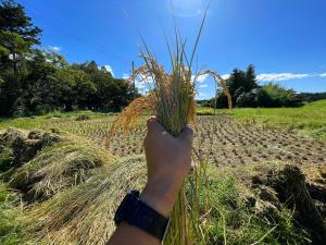 カールベンクス古民家民宿Yosabei
