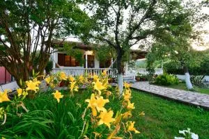 Casa Maria - Kounavádhes