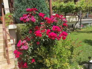 St. George Guest House