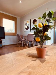 Järveveere Puhkekeskus