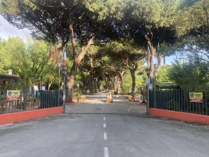 Camping Dal Pino