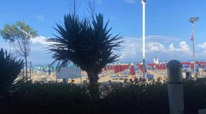 Lydias Place by the beach