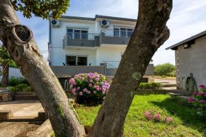 Four-Bedroom Apartment Magnolija