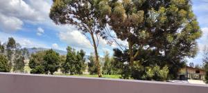 Hotel Alta Vista Campestre