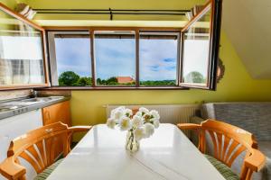 Accommodation "Old Town Drežnik"