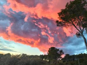 B&B / Chambres d'hotes Villa Xanadu : photos des chambres