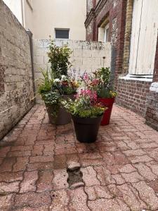 Appartements Plage et Port a 2 Pas : photos des chambres