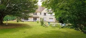 SALAMANDRE - Chamigny