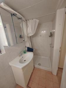 KOČA PLANIKA, SVIŠČAKI