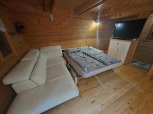 KOČA PLANIKA, SVIŠČAKI