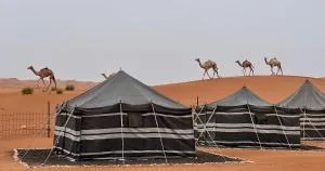 Desert Private Camp - Bedouin Camp - Al Wāşil