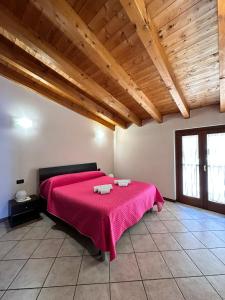 R o c k y -New Sport&Mistic x 6