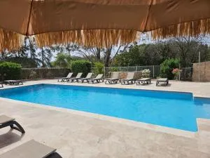 CARDELLINI 23 - 萨里索伦札拉