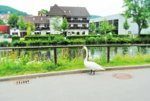 Hotel Schiff Nagold - Gäufelden