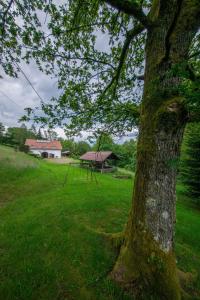 Maisons de vacances La ferme aux belles sources : photos des chambres