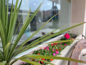 Hotel Gran Continente