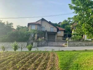 Relaxing Ilidza Villa with Lush Garden & BBQ in Sarajevo - Osenjače