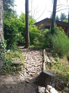 Maisons de vacances Entre les cedres : photos des chambres