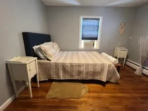 Peaceful 1BR easy commute, urban suburban mix feel in Boston - 诺伍德