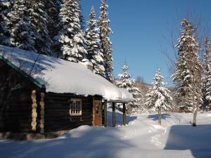 Domaine le Bostonnais - Le Village en Bois Rond