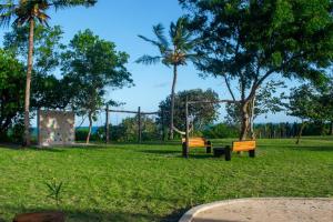 Signature Collections by Eight Continents