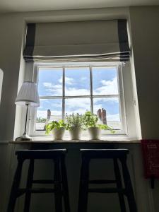 Bridport Town Centre Flat
