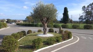 La pecorella in vacanza IUN R3384 img21