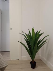 La Casa di Ary alle pendici dellEtna