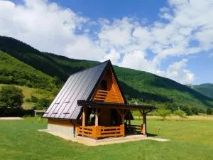 Freedom in Forest - Torlakovac