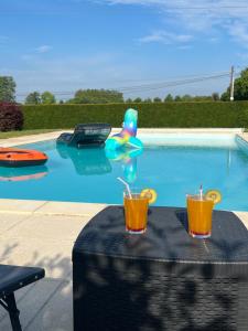 Villas La villa Landaise avec piscine : photos des chambres