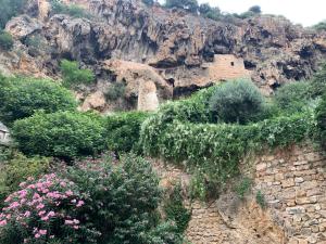 Maisons de vacances Tivoli en Provence : photos des chambres