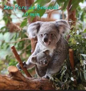 Maisons de vacances Perroquet & Koala 2 logements 10min du zoo de Beauval et proche chateau : photos des chambres