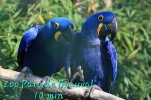 Maisons de vacances Perroquet & Koala 2 logements 10min du zoo de Beauval et proche chateau : photos des chambres