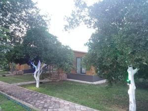 Metenin tatil evleri