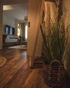 Sabai house