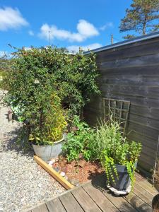 Chalets Romanjo : photos des chambres